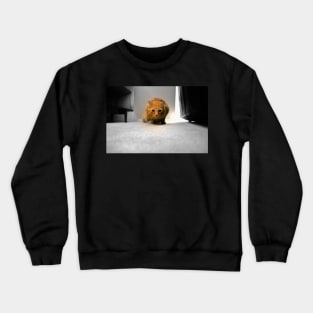 Kit Crewneck Sweatshirt